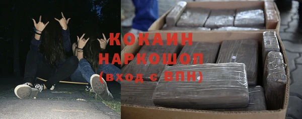 mix Богородицк