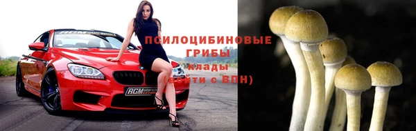 mix Богородицк