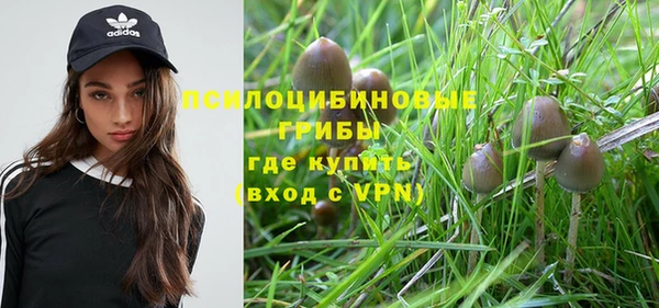 mix Богородицк