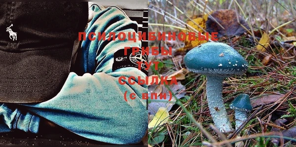 героин Богданович
