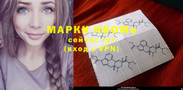 mix Богородицк