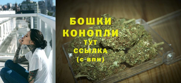 mix Богородицк