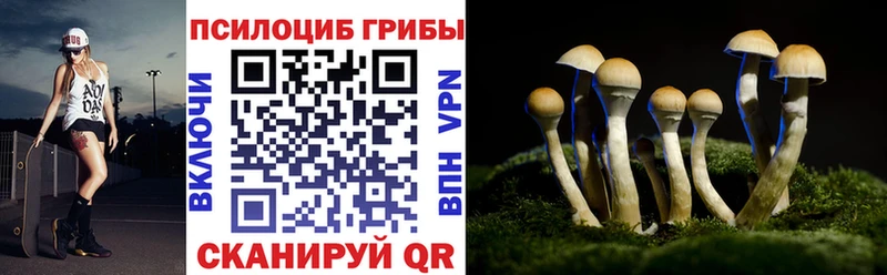 Галлюциногенные грибы Psilocybe  блэк спрут рабочий сайт  Кольчугино 